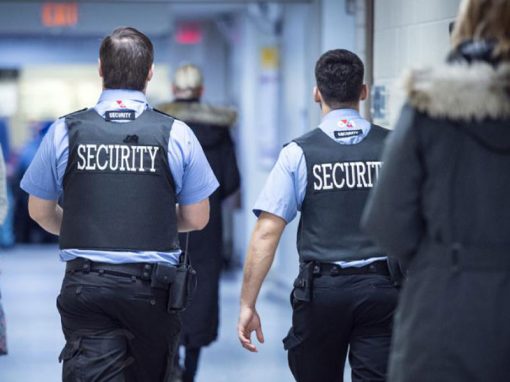 Museums and Cultural Centers Security Course